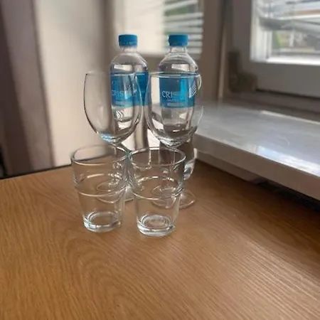 Terminal Family Airport Πόζναν