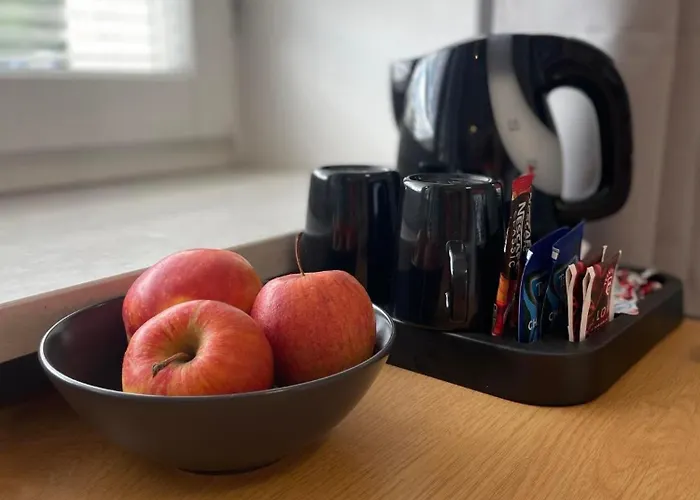 Terminal Family Airport * פוזנן